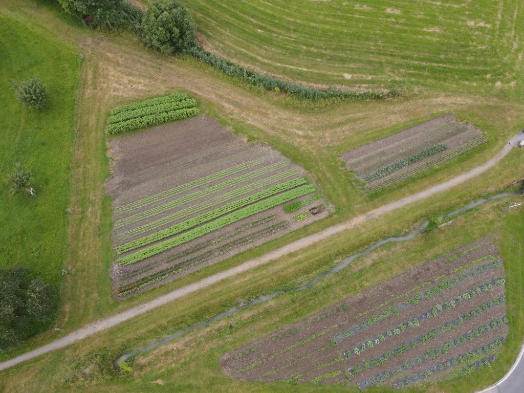 Die Gemüsefelder und Äcker vom Hof Riedweid aus der Vogelperspektive.