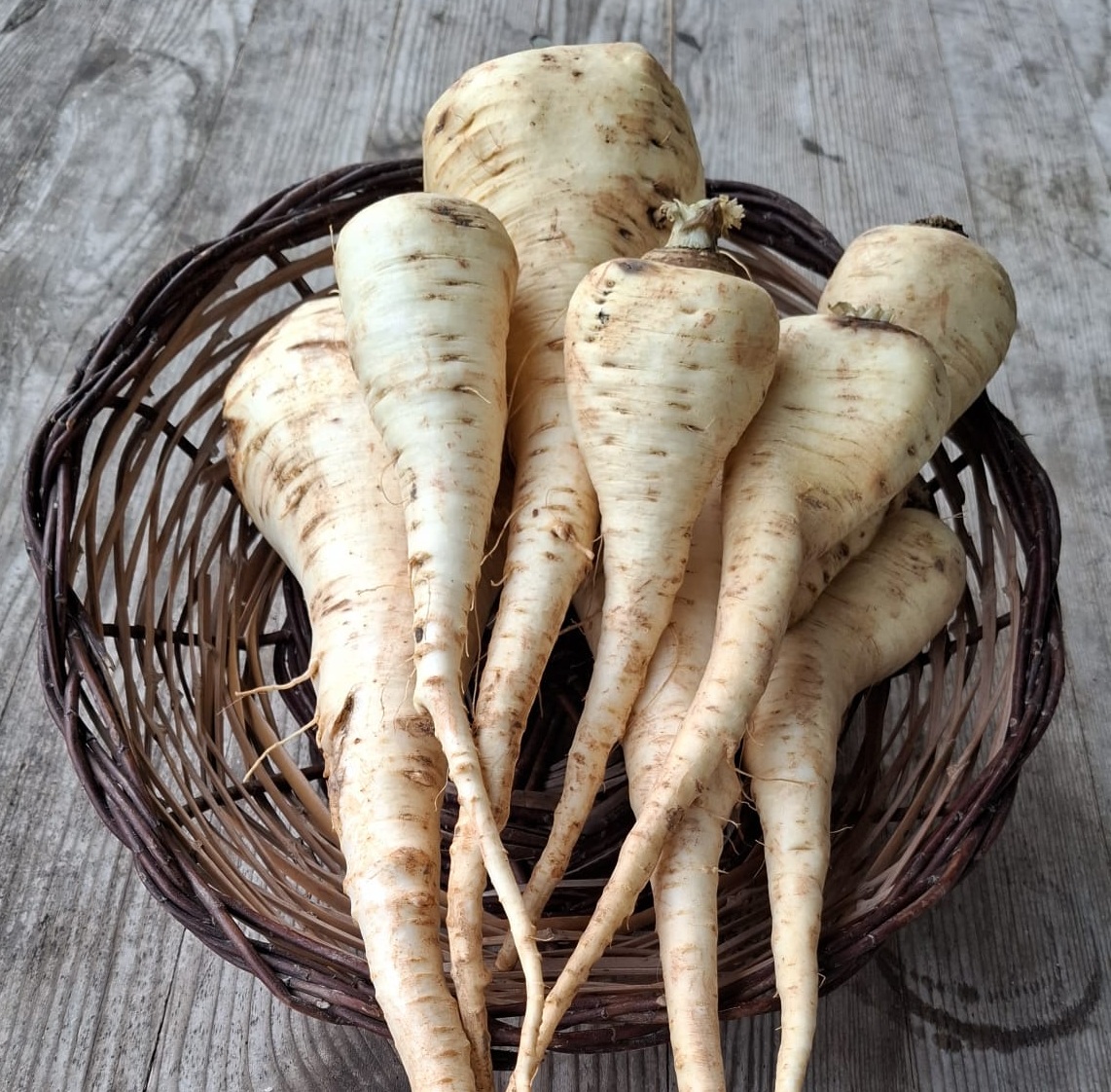 Pastinaken – das perfekte Gemüse für eine stärkende Wintersuppe.