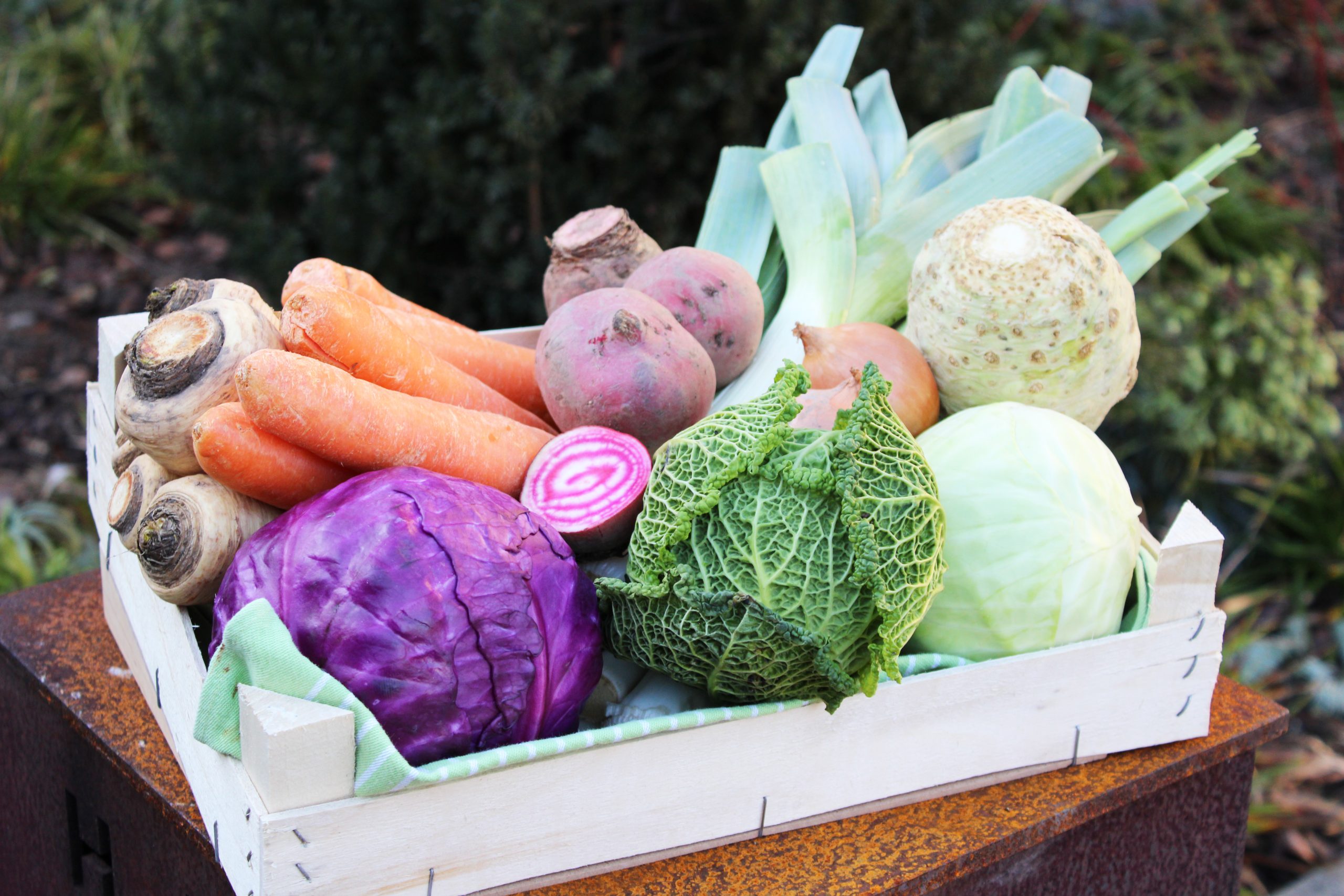 Wintergemüse – für Beilagen, Suppen, Wähen.