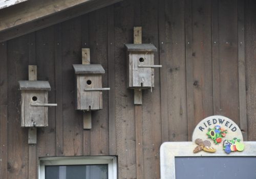 Vogelhäuschen für Artenvielfalt auf dem Hof Riedweid