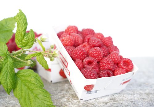 Saisonale, frische Beeren ab Hof im Hofladen Riedweid in Mosen